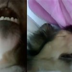 울집 강아지가 이상합니다..