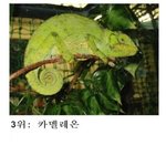 세계에서 가장 <b>찾기</b> 어려운 best3.jpg
