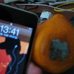 <b>한라</b>봉을 샀는데....농락당한느낌입니다.....사진 有