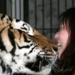 1초 뒤가 궁금한 <b>사진들</b> 모음