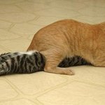 오늘은키스데이