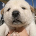 감기 짜증나 <b>콧물</b>도 짜증나!!! ㅠ.ㅠ