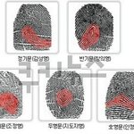 [펌]지문으로 보는 재능
