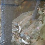 『대한독립군단 총사령관 백야 김좌진 장군 전기』４청산리대첩 ⑶