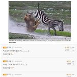 먹고 살기가 이렇게 힘든거다..
