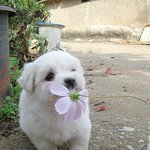★★★★20살 남자혼자 영화보러간 이야기 !