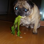 대부업체<b>대격돌</b>