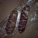 ●버스타던중 할머니 버스충전 도와드린후 받은 <b>보답</b>선물이.......