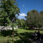 뜻밖의 감동, <b>런던</b> 세인트 제임스 파크!