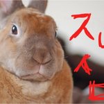 여러분의 번뜩이는 아이디어가 필요합니다.!!!!<b>plz</b>~~