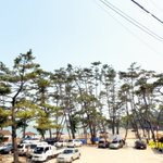 [사진有] 전라도人 필독!!!! 전라도 영광 가마미 해수욕장 