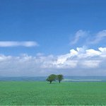 <b>우정</b>과 사랑의 차이점