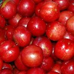 ◆◆◆◆◆사진有)보기만해도 침이 고이는 <b>best</b> 5 과일