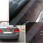 삼천년에 한번 핀다는 우담<b>바라</b>?!