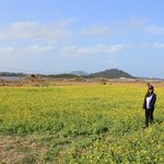 (완료) 스무살여자 혼자 1주일 제주도 여행기.