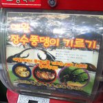 ☆★살아있는<b>동물</b>을뽑기대상으로한뽑기회사를 고발합니다☆★