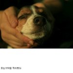 웃고싶으신분 ! ㅋㅋㅋ클릭하세요 후회없음ㅋㅋ