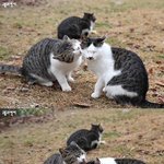 아진짜..눈꼴시려 못봐주겠네..