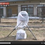 ▶▶ 일본 가지마 ㄷㄷㄷ ◀◀