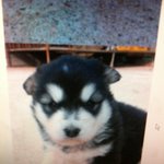 <b>부천시</b> 원미구 여..신 ? 사진있어요!