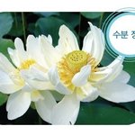 [화장품소개]마몽드 아쿠아프레시 클렌징폼, 팩