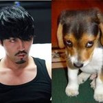 최근 드라마 속 연예인들의 닮은 꼴 총 집합~~ 조승우와 류덕환은...