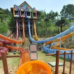 볼수록 신기한 캐리비안<b>베이</b> 아쿠아루프 체험사진!!