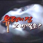 토요미스테리 [유령의 집]