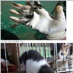 ★★★★★부산시위탁보<b>호소</b>의 실체★★★★★★