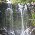 효녀가수 현숙, 할머니 <b>손주</b> 27가족과 함께 한 2박3일 제주도...