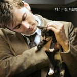 <b>안구</b> 정화용, 고양이 키우는 훈남들