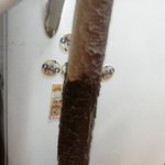 다가오는 빼빼로데이 언제까지 흔하디흔한 빼빼로를 줄건가??