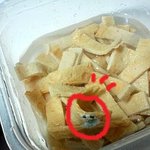 대림<b>어묵</b>에서 벌레와 곰팡이가 >_<