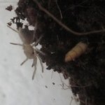 ■■■젊은흔녀의 독특한 애완동물 사랑~!■■■