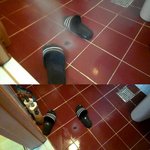 ★수정★동영상有 고3 자취녀들의 바퀴의 난