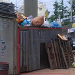 굶어죽기직전인 개들을 제발 살려주세요