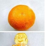 여자분들 공주님 <b>처럼</b> 대접받고 싶죠? ^^