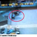 매일 매를 맞는 동물들,  어떻게든 구해야 합니다.