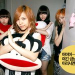 <b>miss</b> a 숙소 대 공개