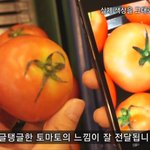 <b>화질</b>의 종결자! 갤럭시s2의 놀라운 슈퍼아몰레드!