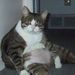 편의점에서 겪은 웃긴실화 ㅋㅋㅋ... 재밌었어요 ㅋㅋㅋㅋㅋㅋㅋㅋ