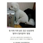 아이돌 총정리!!! + 김희철의 m&amp;d <b>첫무대</b> 잡혔네여~ ㅎㅎㅎ
