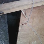 (사진有)아파트경비원이랑 <b>주민</b>남자가 고양이 때려죽임