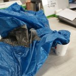 종이컵 하나에 쏙 들어가는 마술같은 등산복