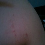 (인증샷有) 아저씨와 떠난 300일 경주여행!