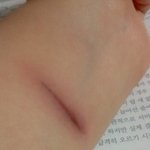 ★★★고3의 극단적인 선택[주의] 사진有