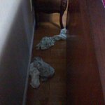 ***하이마트의 횡포*** 꼭 읽어주세요 !!! 에어컨 살땐 하이마트...