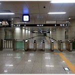 사진 有) 25세 여자! 혼자서  처음으로 다녀온 제주 여행기(수정)