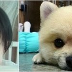 ■■■중고딩들 그거암?■■■(안보면99.83286π%후회)