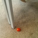 공부하러갔다가 토마토맞고옴★★★★★★★★★★★★(사진有)